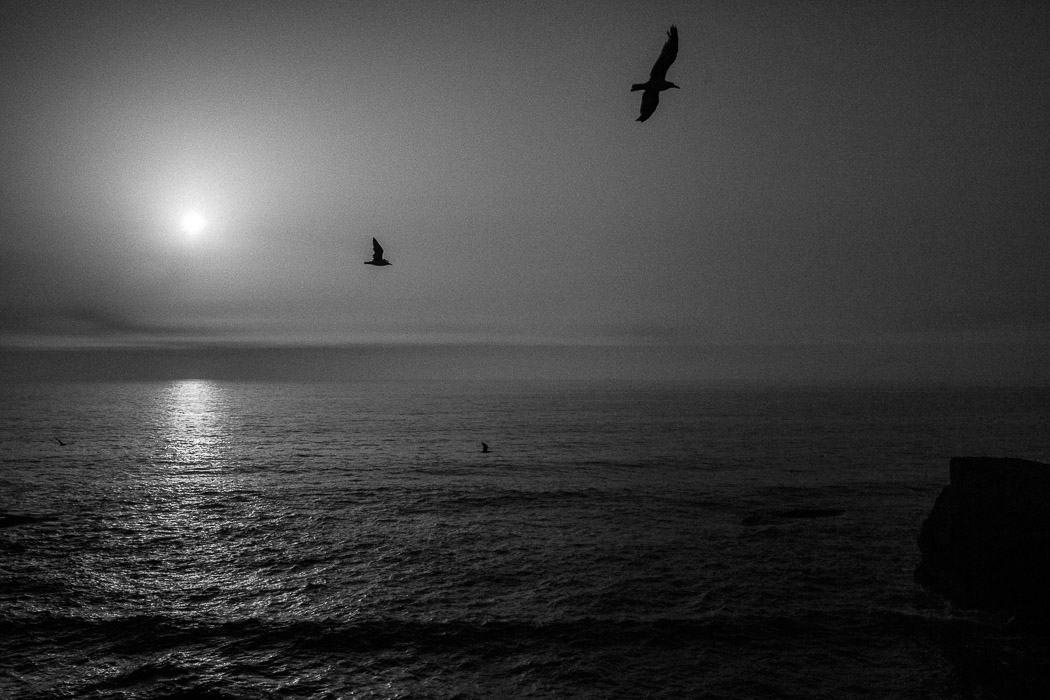 Fine art photography in black and white of Praia do Malhao in Alentejo Portgual. two seagulls flying in front of an ocean like a romantic fine art painting